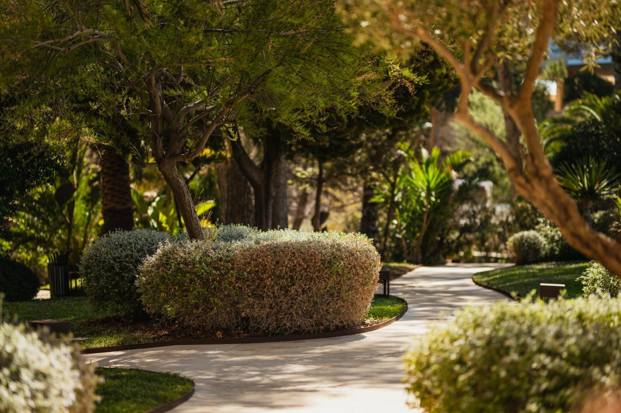 Secrets Mallorca Villamil Resort & Spa - Adults Only باغيرا المظهر الخارجي الصورة A path at the resort